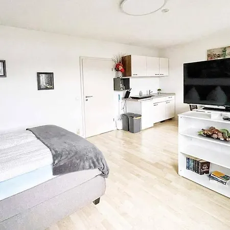 D21A Moderne Ferienwohnung In Ratingen דירה ראטינגן